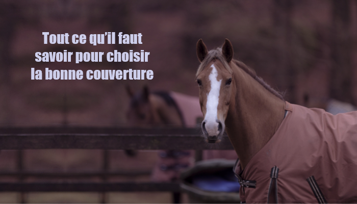 couverture pour cheval