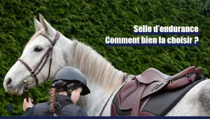 Selle pour chevaux d'endurance en cuir noire - Toutes les