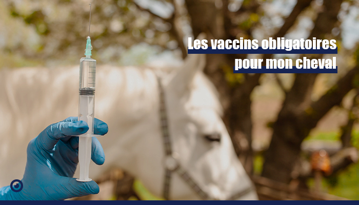 vaccins du cheval