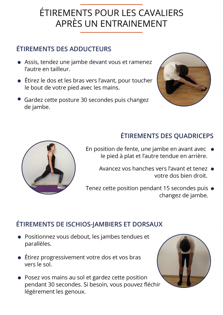 Fonctionnement Musculaire du Cavalier - Confort et Performance