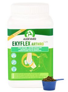 Ekyflex Arthro EVO Laboratoires Audevard