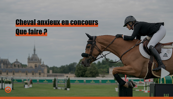 Cheval anxieux concours