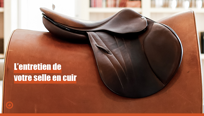 Savon De Selle En Cuir NAF - Nettoie Et Nourrit Le Cuir - Pot 250g - Pour Selles, Brides, Accessoires équestres