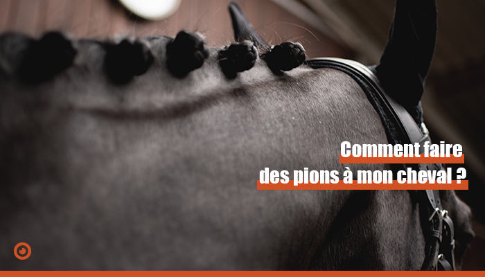 pions cheval