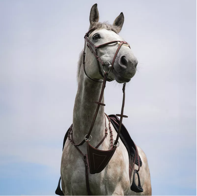 Martingale Pour Cheval - Taille Standard Ou Ajustable - Neuf - Pour équitation, Travail à La Longe Ou Dressage