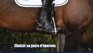 Éperons d'Équitation Occidentaux en Acier Inoxydable - OMABETA