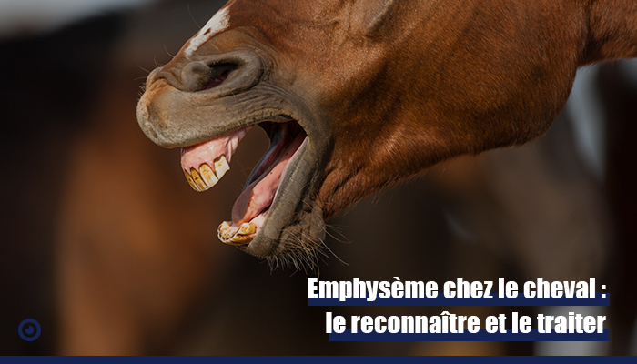 Emphysème cheval