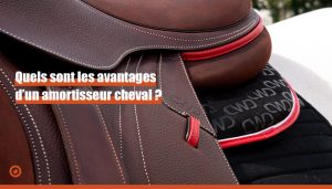 Quels sont les avantages d’un amortisseur cheval ?